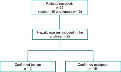 Morphometric analysis of tumor microvessels for detection of hepatocellular carcinoma using contrast-free ultrasound imaging: A feasibility study